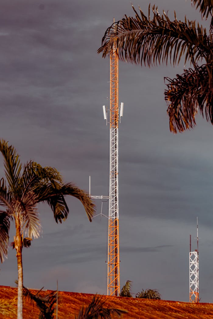 Telecommunication tower framed by palm trees under a cloudy sky.